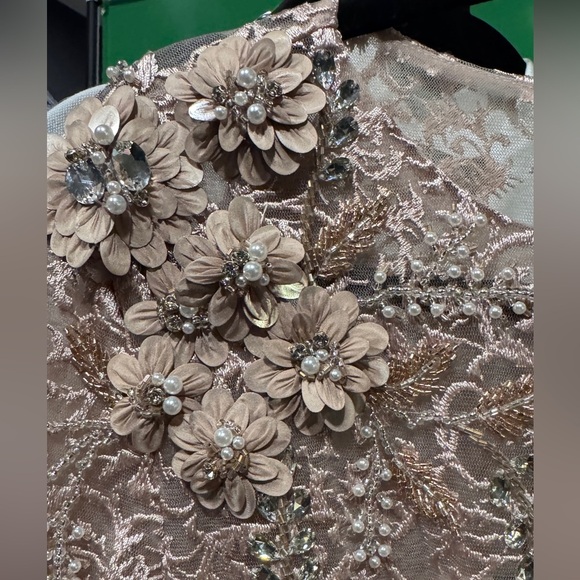 Mac Duggal $998 Embellished Illusion Long Sleeve A Line Gown - mocha Lace weddin - Picture 4 of 12